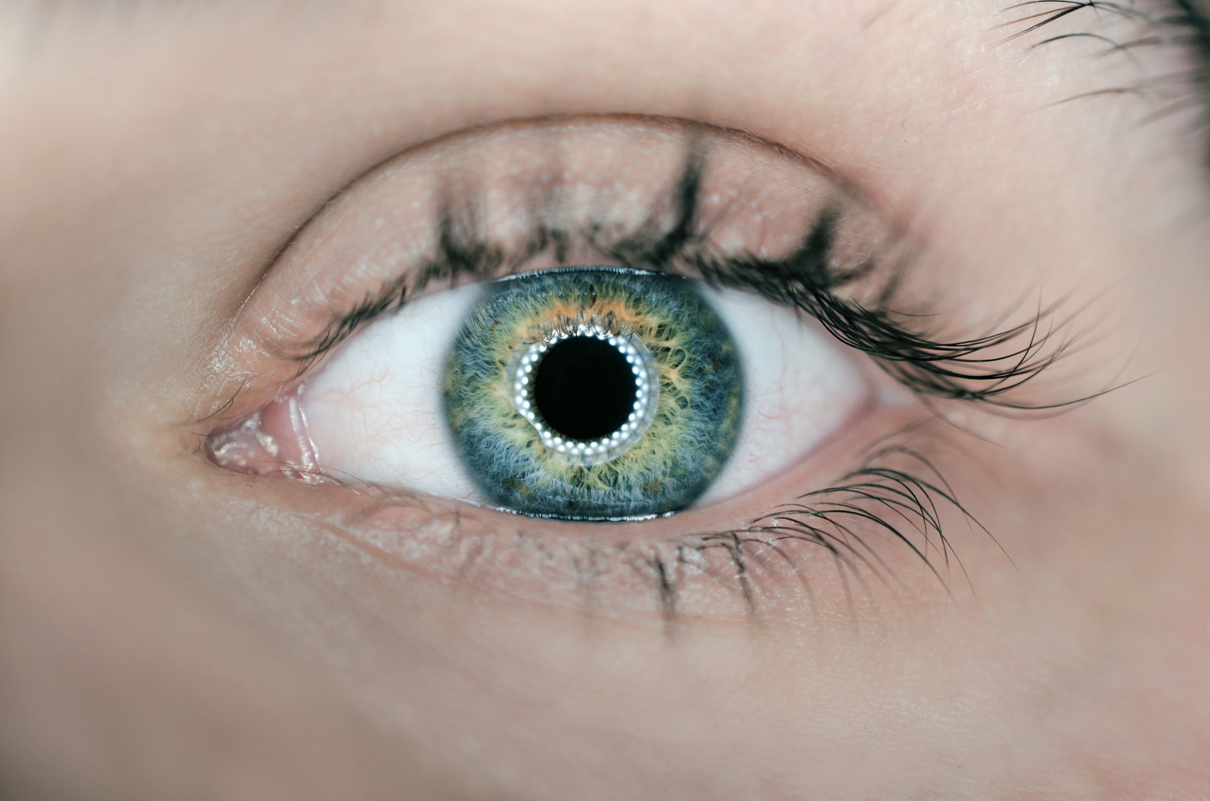 Closeup of green eye - Eyetell