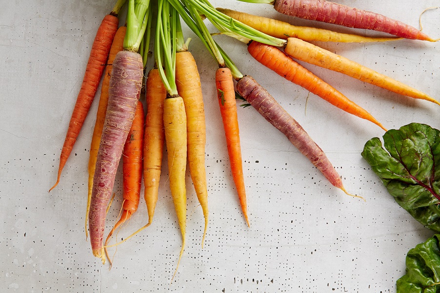 Carrots, farmers