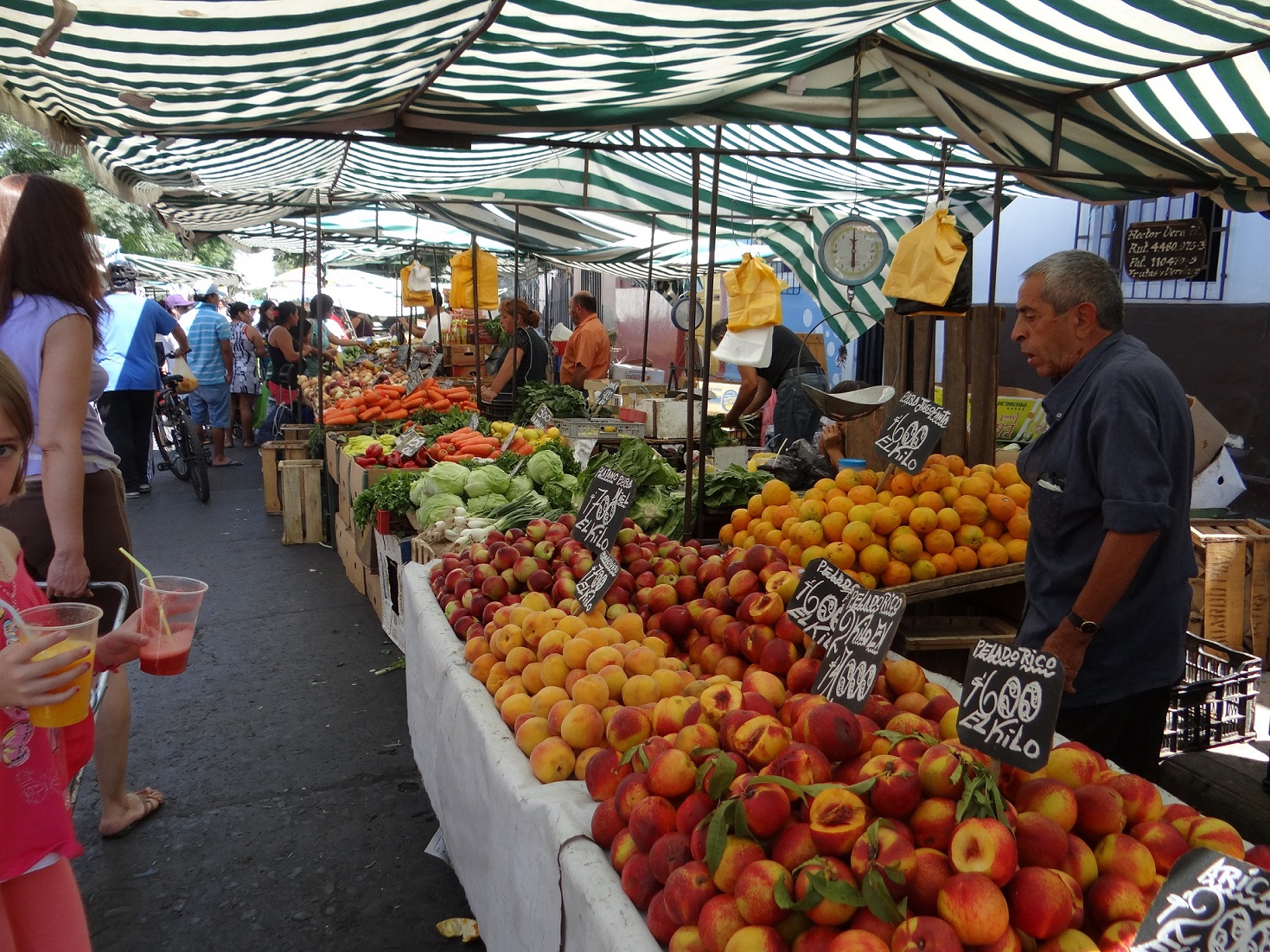 micro food banks, Chile, Santiago