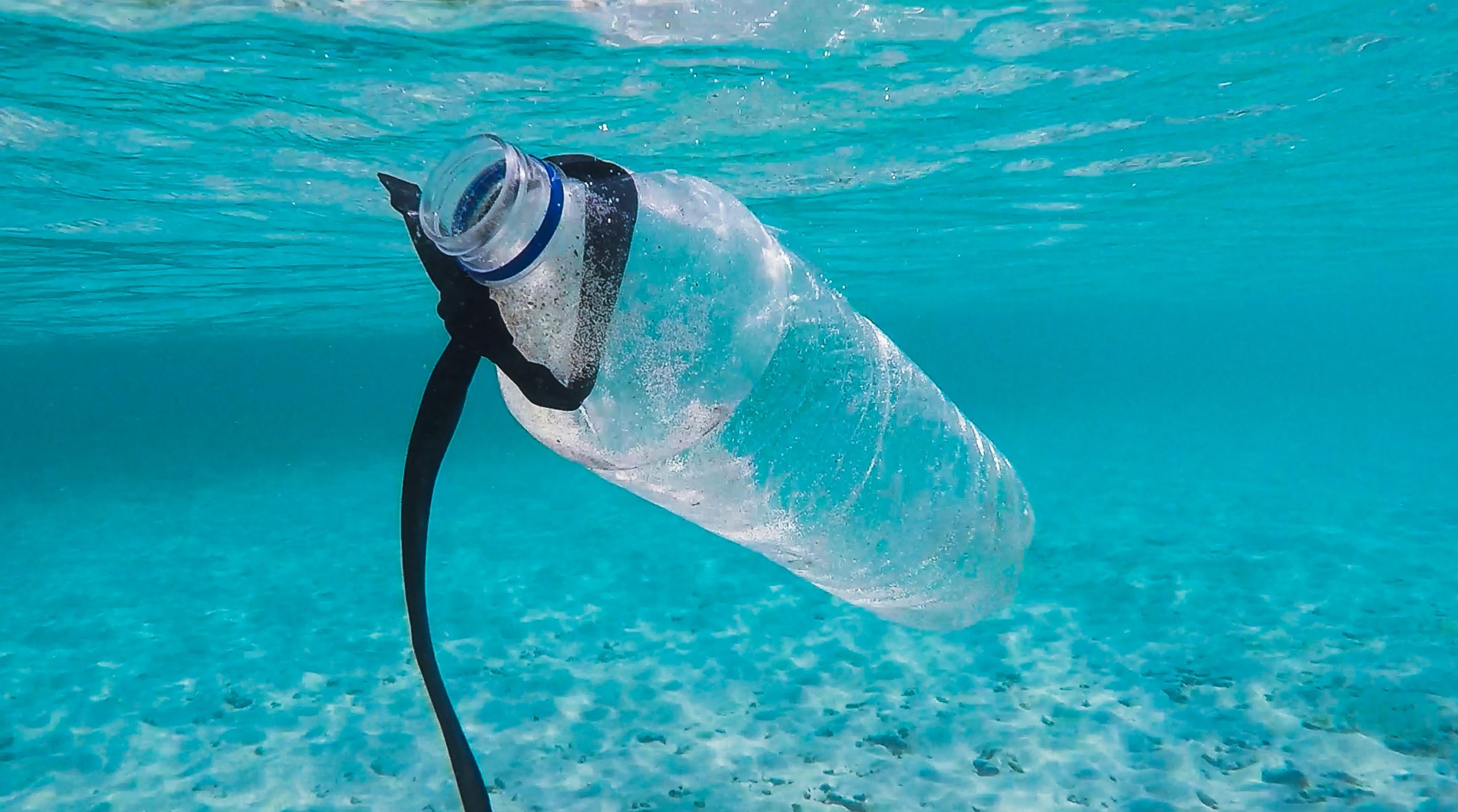 Plastic bottle in water -- Sunshine Cleaning, Santie Gouws and Ursula van Eck