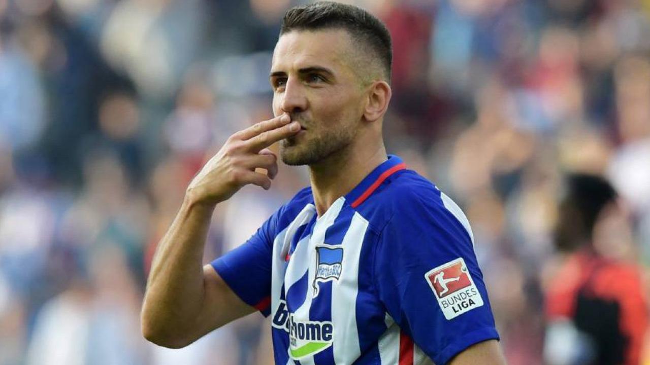 Vedad Ibisevic